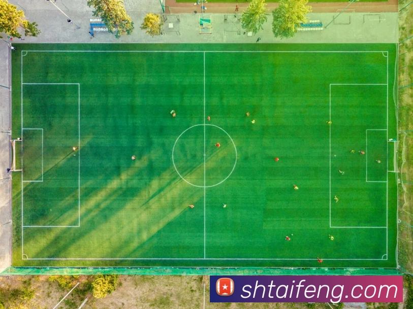 6868体育官网登录平台生态图