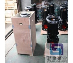 潜水泵工作原理与结构特点：为什么能长期浸没运行